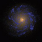 Immagine della galassia simulata al calcolatore e ribattezzata 'Eris'. Le regioni in blu rappresentano quelle popolate da stelle di recente formazione, mentre quelle tendenti al rosso indicano la presenza di stelle più antiche. (Crediti: J. Guedes e P. Madau)