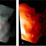 Nel doppio pannello è mostrata l’immagine dell’asteroide Lutetia osservato dallo strumento VIRTIS, lo spettrometro ad immagine della sonda Rosetta. Nel pannello di sinistra è mostrata la superficie di Lutetia al massimo avvicinamento come la vedremmo se i nostri occhi fossero sensibili alla radiazione infrarossa. La croce rossa rappresenta la posizione del polo nord. Nel pannello di destra, dalla misura della radiazione emessa dall’asteroide è stata ricavata la mappa di temperatura sulla superficie dell'asteroide, che raggiunge un massimo di circa  245 gradi Kelvin, ovvero -28 gradi centigradi (Crediti: ESA/VIRTIS/INAF)