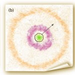 Uno schizzo del modello proposto per spiegare l'esplosione di una supernova di tipo IIn. Al momento dell'esplosione (a) il nucleo è circondato da un guscio di idrogeno, che viene raggiunto dalle onde d'urto al giorno 5 (b) producendo righee di emissione dell'idrogeno sia ampie che strette. Al giorno 20 (c) il nucleo è completamente avvolto dalle onde d'urto e restano solo le linee di emissione più strette.