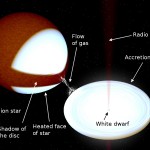Rappresentazione schematica di SS Cygni (J Miller-Jones/R. Hynes)