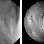 Esempi di tracking di nuvole su Venere (from Khatuntsev et al, Cloud level winds from the Venus Express Monitoring Camera imaging, Icarus (2013); doi: 10.1016/j.icarus.2013.05.018)