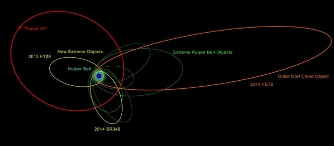 Illustrazione delle orbite dei nuovi e dei già noti oggetti agli estremi del Sistema solare. L’allineamento della maggior parte delle loro orbite indica che sono probabilmente influenzati dalla gravità di qualcosa di massiccio e molto distante, l’ipotetico nono pianeta. Immagine per gentile concessione di Robin Dienel
