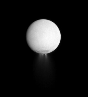 In questa immagine del satellite NASA Cassini si vedono almeno quattro pennacchi d'acqua levarsi dall'emisfero sud di Encelado (crediti: NASA/JPL/Space Science Institute)