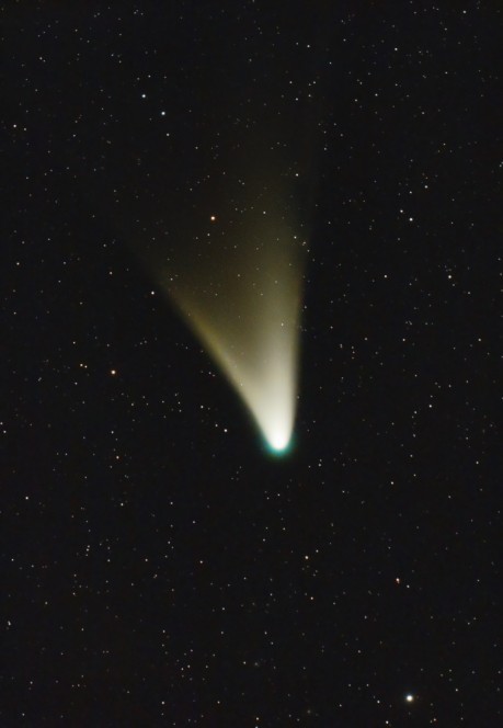 Una immagine della cometa Pan-STARRS scattata da Ignacio Diaz Bobillo, da Buenos Aires, Argentina (http://www.pampaskies.com)