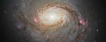 Hubble ha catturato questa immagine vivida della galassia a spirale Messier 77. Le macchie di rosso evidenziano la formazione di nuove stelle lungo le braccia a spirale, con corsie di polvere scura che si estende attraverso il centro energetico della galassia. CREDIT: NASA, ESA & A. van der Hoeven