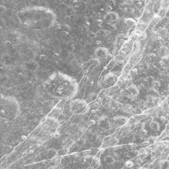 Un close-up della superficie di Dione. Crediti: NASA/JPL/Space Science Institute
