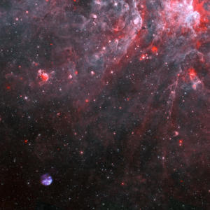 L'immagine di G306.3-0.9 pezzi di supernova nella Via Lattea. CREDIT:  X-ray: NASA/CXC/Univ. of Michigan/M. Reynolds et al; Infrared: NASA/JPL-Caltech; Radio: CSIRO/ATNF/ATCA