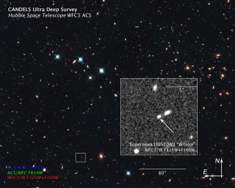 La Supernova Wilson (SN UDS10Wil). Crediti: Credit: NASA, ESA, A. Riess (STScI and JHU), and D. Jones and S. Rodney (JHU)