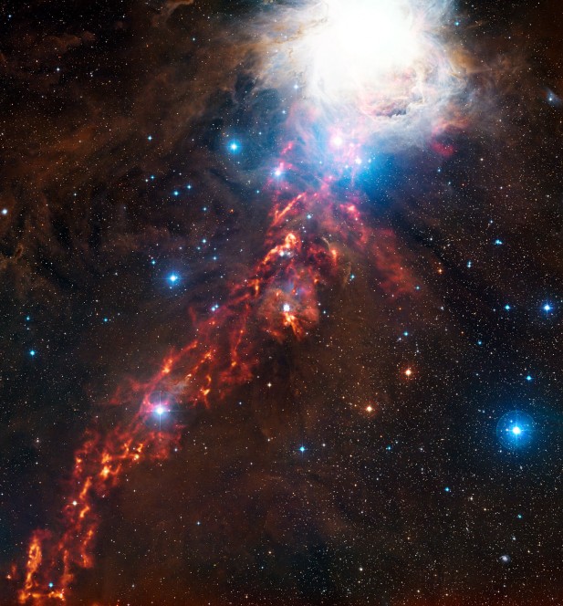 Nubi cosmiche nella costellazione di Orione