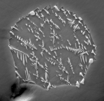 Dettaglio al microscopio elettronico d’una inclusione lunare di origine vulcanica, all'interno di un cristallo di olivina, presente nel campione 74220 raccolto durante la missione Apollo 17. Crediti: John Armstrong, Geophysical Laboratory, Carnegie Institution di Washington.