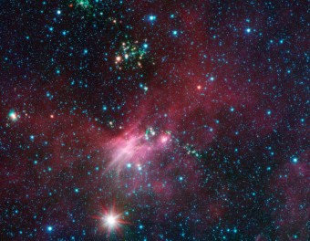 Dozzine di giovani stelle avvistate da Spitzer mentre spruzzano getti di materia dai loro bozzoli polverosi. Crediti: NASA / JPL-Caltech / University of Wisconsin