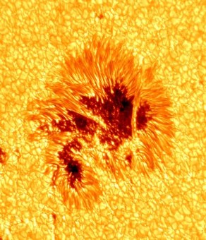 L'immagine più precisa di una macchia solare mai scattata. Grazie all'altissima risoluzione del New Solar Telescope vengono rivelati dettagli nuovi. Crediti: BBSO/NJIT