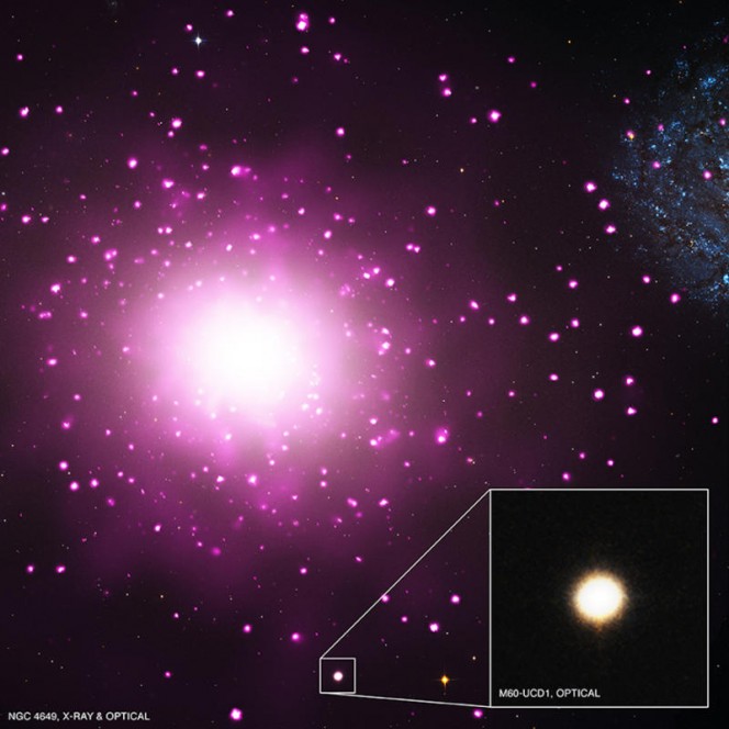 Galassia nana ultra-compatta M60-UCD1