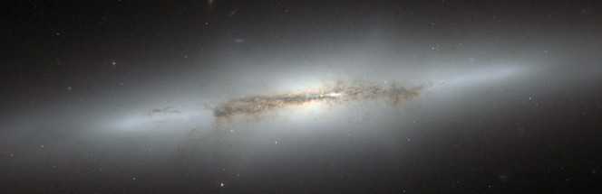 La vista di Hubble della galassia NGC 4710 con al centro il rigonfiamento galattico a X. (Crediti: NASA & ESA)