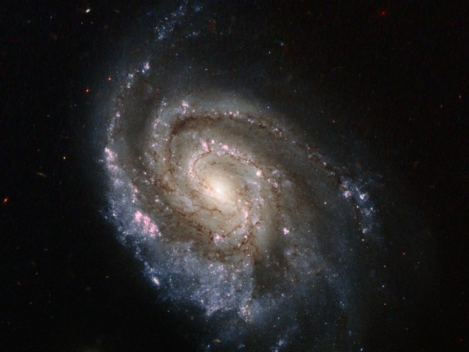 Crediti: Hubble/Agenzia Spaziale Europea 