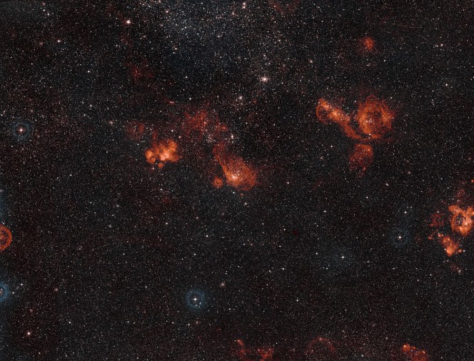 Panoramica di parte della Grande Nube di Magellano. La regione brillante un pò a sinistra del centro è NGC 2035. Questa veduta è stata prodotta a partire da immagini della DSS2 (Digitized Sky Survey 2).