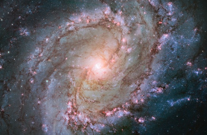 Lo scatto della galassia M83 fatto da Bubble. Crediti: NASA, ESA, Hubble Heritage Team (STScI/AURA) / W. Blair (Johns Hopkins University)