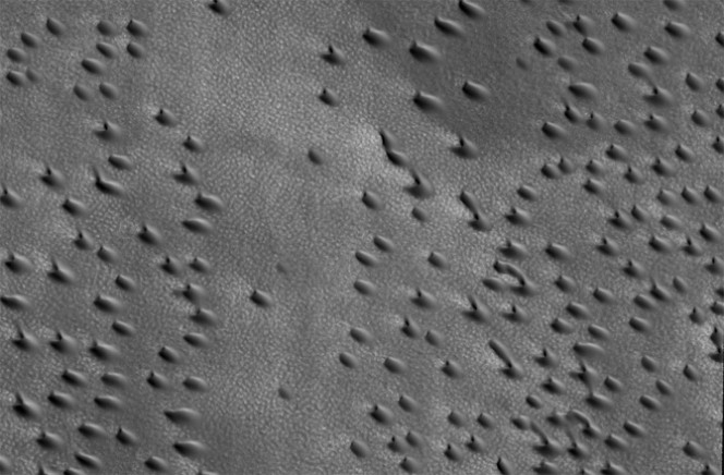 Dune barcane viste da più in alto. Crediti: NASA/JPL-CALTECH/UNIVERSITY OF ARIZONA