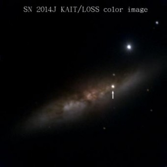 Un'immagine di SN 2014J scattata dal telescopio KAIT. Crediti: W. Zheng e A. Filippenko, University of California Berkeley