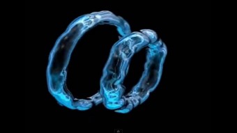 Esempi d'anelli vorticosi, chiamati anche bolle toroidali, creati sott'acqua dai delfini. Crediti: University of Washington