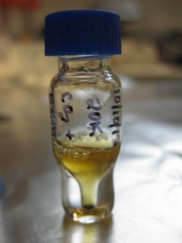 Un campione di vitamina B3 utilizzato nell'esperimento. Crediti: Karen Smith 