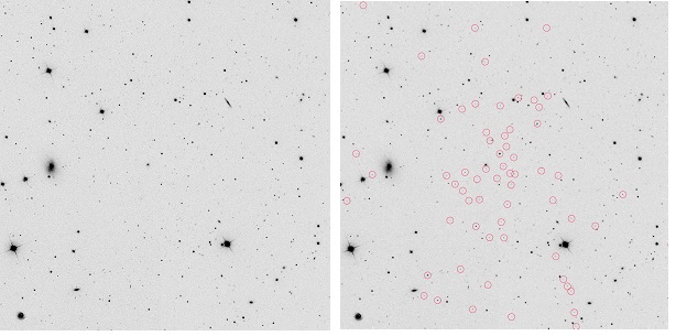 A sinistra, Segue 1 (la galassia non è visibile); a destra, le stelle che fanno parte di Segue 1 (cerchiate). Crediti: Marla Geha Yale University