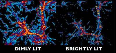 Nell’immagine una simulazione al computer dell’idrogeno intergalattico in un universo debolmente illuminato (a sinistra) e in uno luminoso (a destra) che ha un numero di fotoni ionizzanti cinque volte superiore. Le osservazioni sull’assorbimento di idrogeno evidenziate da Hubble sono rappresentate nella figura di destra, ma utilizzando solamente le fonti di luce ultravioletta note si genera la struttura più densa che si vede a sinistra, con una grave discrepanza rispetto alle osservazioni. Credit: Ben Oppenheimer and Juna Kollmeier 