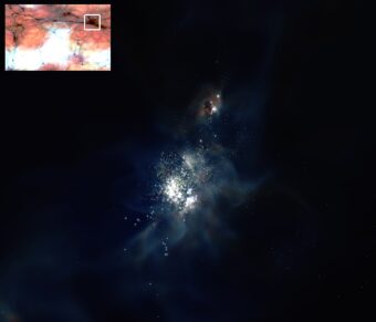 Dettaglio della galassia nana più massiccia nella simulazione condotta da Wise e colleghi, all'epoca in cui l'universo aveva solo 700 milioni di anni. La massa di questa galassia è di appena 3 milioni di volte quella del Sole. Un valore molto piccolo se confrontato a quello della Via Lattea, che raggiunge i 60 miliardi di masse solari. I punti gialli rappresentano le stelle più antiche e fredde, metre quelli blu gli astri più giovani e massicci. La nebbia che circonda le stelle indica la distribuzione del gas, dove il suo colore colore, rosso e blu indica, rispettivamente, temperature alte e basse. Crediti: John Wise