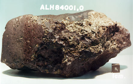 Il meteorite ALH84001 recuperato nella zona delle Allan Hills, in Antartide, nel dicembre 1984 da Roberta Score, facente parte di una squadra di cercatori di meteoriti statunitensi 