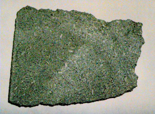 Un frammento del meteorite Zagami. Copyright 1995 Ron Baalke