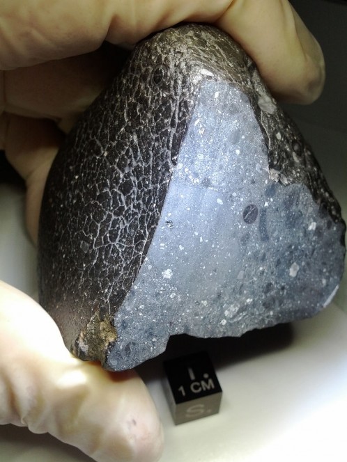 Il meteorite marziano NWA 7034. Crediti: NASA