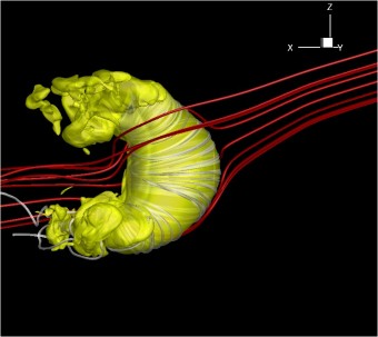 La forma gialla nell'immagine è l'eliopausa, il confine tra l'eliosfera e il mezzo interstellare. Il Sole si trova al centro di questa bolla, troppo piccolo per essere visibile. Le linee grigie rappresentano il campo magnetico solare, mentre quelle rosse il campo magnetico interstellare. Crediti: M. Opher