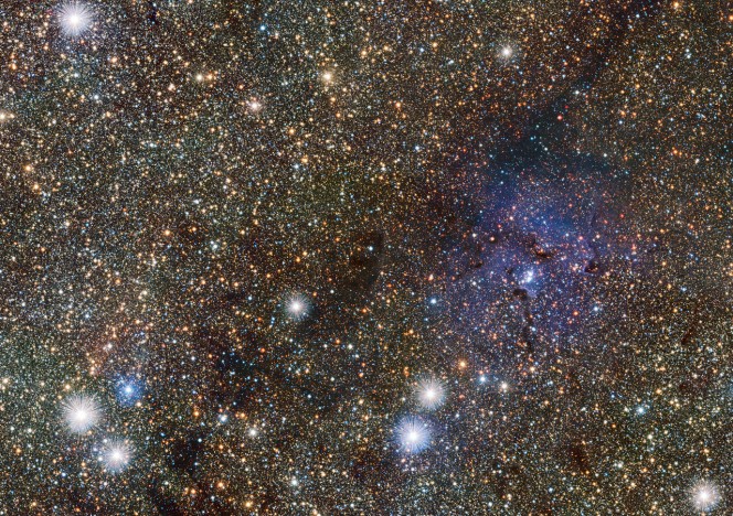 VISTA osserva la Nebulosa Trifida e svela alcune stelle variabili nascoste. Crediti: ESO/VVV consortium/D. Minniti