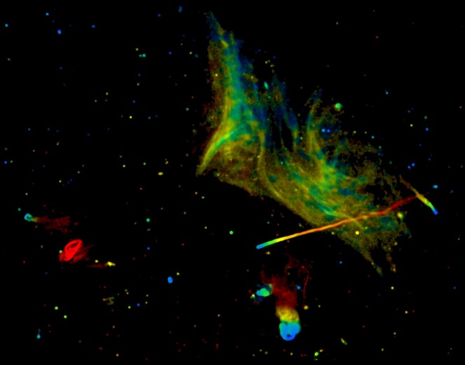 Abell 2256, in un immagine radio a "colori veri" realizzata con il VLA. Crediti: Owen et al., NRAO/AUI/NSF
