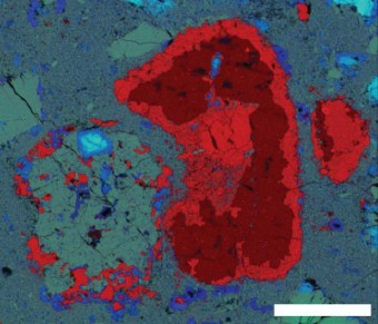 In questa immagine, l’ingrandimento di uno dei campione analizzati, con i diversi elementi chimici rappresentati da differenti colorazioni. L’oggetto verdognolo circondato da aree rossastre è un condrulo silicato, mentre il grande oggetto rosso sulla destra è un condrulo solfurico. Crediti: Kelly Miller