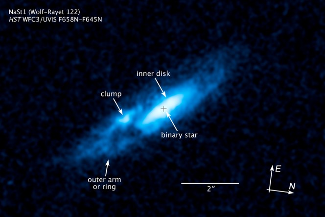 Questa immagine è stata catturata nel mese di aprile 2013 con la Wide Field Camera 3 del telescopio spaziale Hubble della NASA e rivela la presenza di un disco intorno alla stella soprannominata Nasty 1. La stella potrebbe rappresentare una breve fase transitoria nell'evoluzione delle stelle massicce. Crediti: NASA, ESA, e J. Mauerhan (University of California, Berkeley)