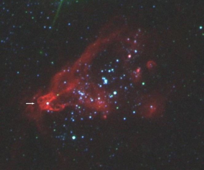 Immagine ottica della ULX "X-1" (indicata dalla freccia) nella galassia nana Holmberg II, che si trova in direzione della costellazione dell'Orsa Maggiore, ad una distanza di 11 milioni di anni luce. Il colore rosso rappresenta l'emissione dovuta alla riga spettrale emessa dagli atomi di idrogeno. Crediti: Special Astrophysical Observatory/Hubble Space Telescope
