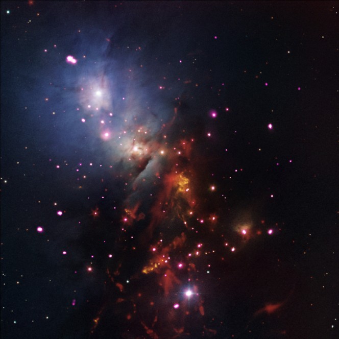 Il cluster NGC 1333. Crediti - X-ray: NASA/CXC/SAO/S.Wolk et al; Optical: DSS & NOAO/AURA/NSF; Infrared: NASA/JPL-Caltech