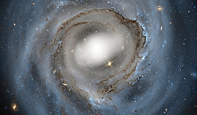 Questa immagine ottenuta dal Telescopio Spaziale Hubble di NGC 4921, una galassia a spirale nell’ammasso della Chioma, mette in evidenza la struttura delle polveri presenti nella galassia. Crediti: NASA, ESA e Roberto Colombari