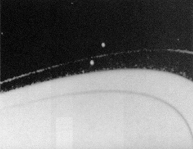 In questa straordinaria APOD del 1995, l'anello F  di Saturno e i suoi due satelliti pastore, Prometeo e Pandora,, visti dal Voyager. Crediti: NASA, JPL, Voyager