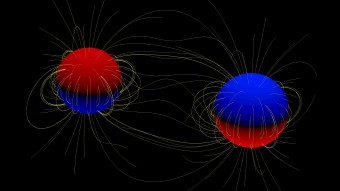 La polarità del campo magnetico superficiale delle due stelle del sistema di Epsilon Lupi, nord o sud, è indicata dai colori rosso e blu rispettivamente. In giallo sono riportate le linee di campo magnetico che avvolgono gli astri. Crediti: Volkmar Holzwarth, KIS, Freiburg 