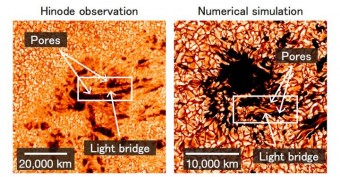 A sinistra: le osservazioni della sonda Hinode della JAXA mostrano lo sviluppo di una macchia solare. Una struttura brillante ed allungata, il 'light bridge', appare tra i due pori che si stanno fondenndo (le regioni più scure). A destra: la formazione di una macchia solare nella simulazione al computer realizzata dal team di Shin Toriumi. Crediti: NAOJ/JAXA/LMSAL/NASA