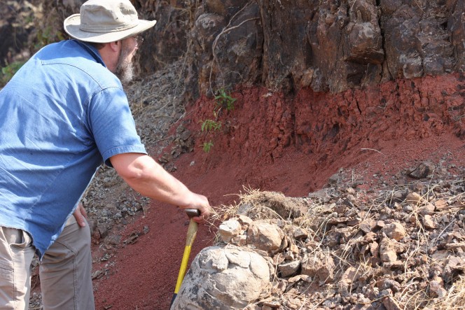 Paul Renne, direttore del Berkeley Geochronology Center. Crediti: Mark Richards, UC Berkeley