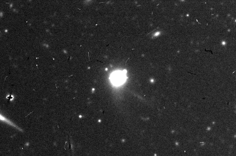 L’asteroide 493 Griseldis della fascia principale nell’obiettivo del telescopio Subaru a Mauna Kea. Crediti: D. Tholen, S. Sheppard, C. Trujillo.