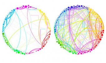 Questo diagramma mostra i risultati semplificati che possono essere ottenuti grazie all’analisi quantistica d’insiemi di dati enormi e complessi. Quelle rappresentate sono le connessioni fra diverse regioni del cervello in un soggetto di controllo (a sinistra) e in un soggetto sotto l'influenza d’una sostanza psichedelica, la psilocibina (a destra). Si nota un drammatico aumento della connettività, che spiega alcuni degli effetti della droga (come il “sentire” i colori o il “vedere” gli odori). Un’analisi come questa, che coinvolge miliardi di cellule cerebrali, è troppo complessa per le tecniche tradizionali, ma potrebbe essere gestita facilmente dal nuovo approccio quantistico, dicono i ricercatori. Crediti: Seth Lloyd, Silvano Garnerone e Paolo Zanardi