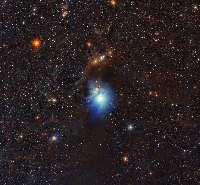 Una stella appena formata illumina le nubi cosmiche che la circondano in questa immagine ottenuta all'Osservatorio dell'ESO di La Silla in Cile. Le particelle di polvere nelle nubi estese che circondano la stella HD 97300 ne diffondono la luce, come i fari di un'automobile nella nebbia, e creano la nebulosa a riflessione IC 2631. Anche se HD 97300 è ora al centro dell'attenzione, la stessa polvere che ora le mette in evidenza annuncia la nascita di altre stelle in futuro, stelle che probabilmente le ruberanno la scena. Crediti: ESO 