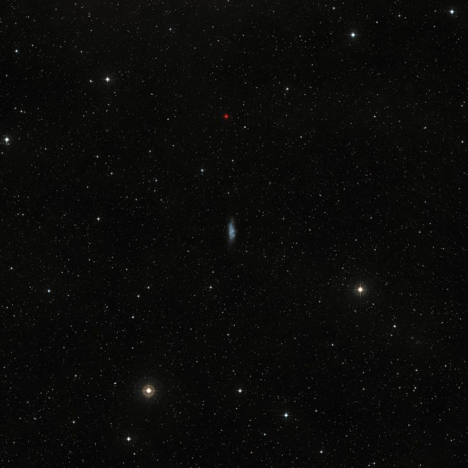 Questa panoramica mostra il cielo intorno alla galassia nana WLM nella costellazione della Balena. L'immagine è stata prodotta a partire dai dati della DSS 2 (Digitized Sky Survey 2). La galassia si mostra al centro della fotografia come un mucchietto irregolare di stelle poco luminose. Crediti: ESO/Digitized Sky Survey 2. Acknowledgement: Davide De Martin