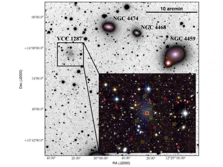 Nell’immagine la regione dell’ammasso della Vergine che contiene la galassia ultra-diffusa chiamata VCC 1287. L'immagine di sfondo ha una dimensione di 500 mila anni luce di lato, utilizza un'immagine negativa per contrasto, ed è stata ottenuta con un telescopio amatoriale da 10 centimetri di diametro presso l’ Antares Observatory in Svizzera. L'immagine nell’inserto è una composizione di immagini di VCC 1287 raccolte dal telescopio da 4 metri telescopio Canada-France-Hawaii che si trova presso Mauna Kea. I simboli colorati indicano le posizioni degli ammassi globulari studiati per le misurazioni di velocità orbitali con il Gran Telescopio Canarias (GTC) da 10 metri. Crediti: IAC