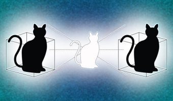 I ricercatori di Yale hanno dato al gatto di Schrödinger una scatola in più in cui giocare. Crediti: Michael S. Helfenbein/Yale University