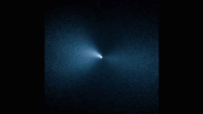 Questa animazione assembla insieme le immagini raccolte dal telescopio spaziale Hubble il 4 aprile scorso, puntate sulla cometa 252P/LINEAR. Grazie alla sequenza ravvicinata è possibile apprezzare la rotazione del nucleo cometario. Crediti: NASA/ESA/J.-Y. Li (Planetary Science Institute)